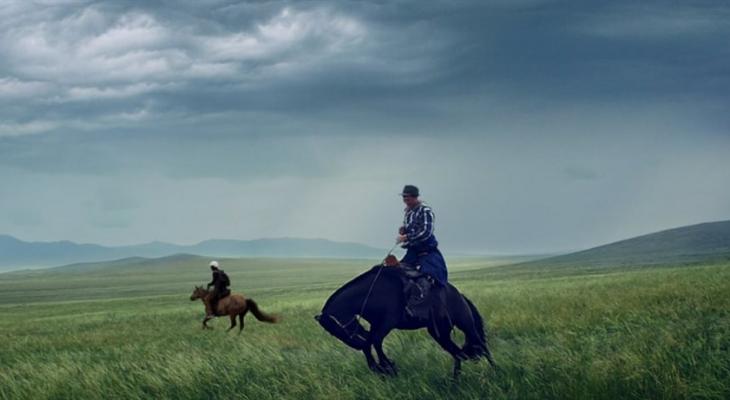 Two people on horseback in an open field