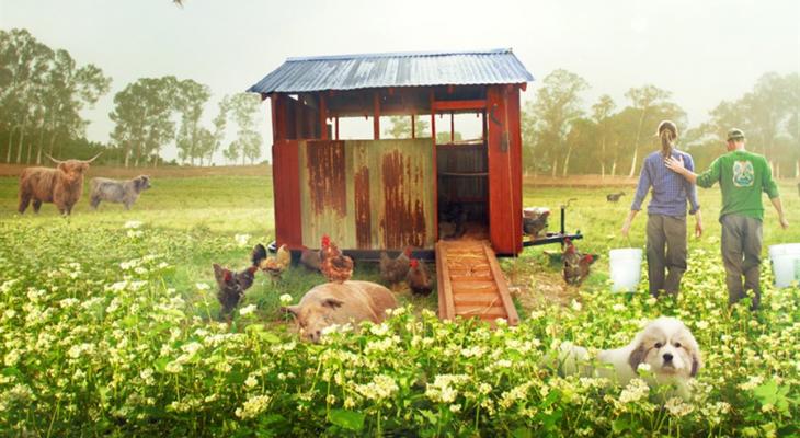 Farm shed with animals and people