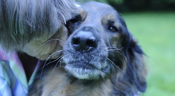 Person snuggling with a dog