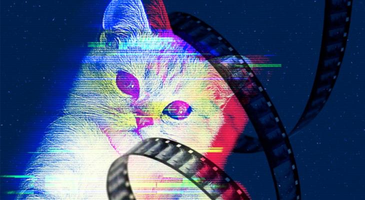 Cat with a filmstrip