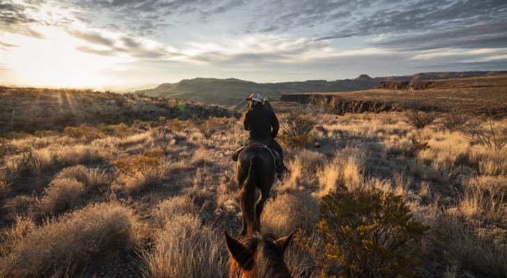 Scenic view of grassy plains with a person on horseback