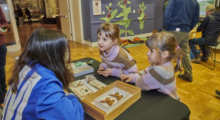 Two children at a table of insect specimens