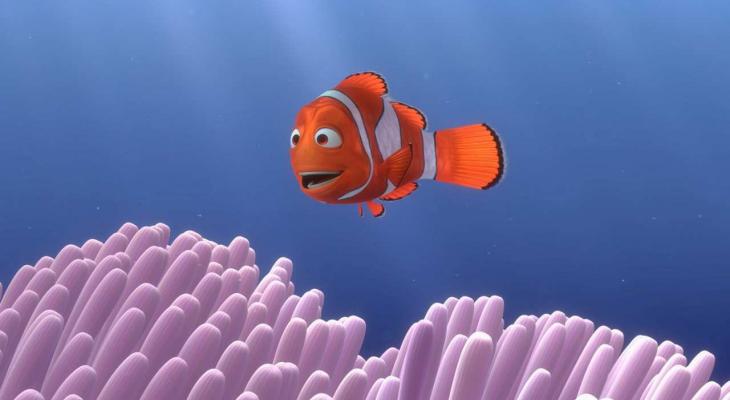 an orange and white striped fish smiling