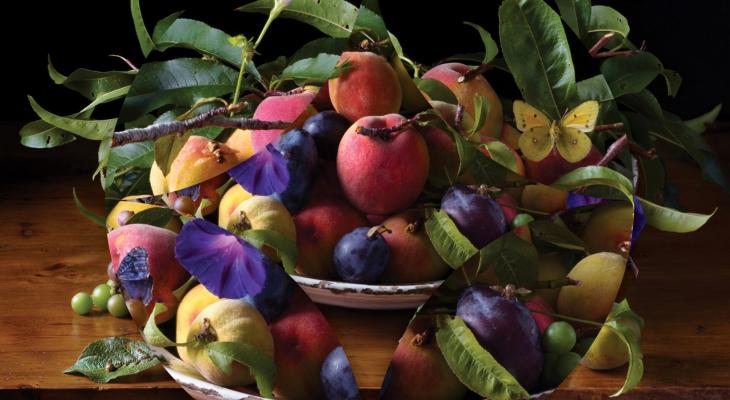 Orchard plums in a basket