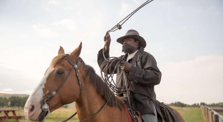 a person on a horse