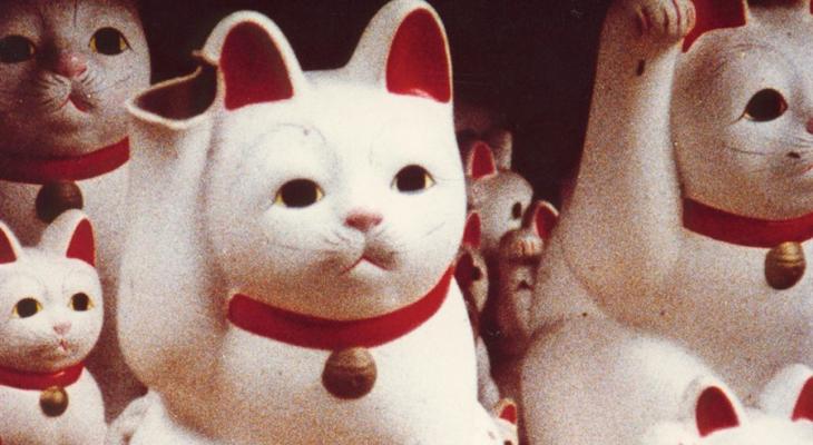 cat statues