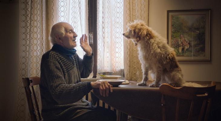 a person sitting at a dining room table with a dog