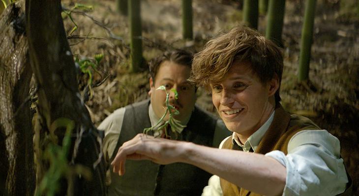 Family Screening: Fantastic Beasts with ROM