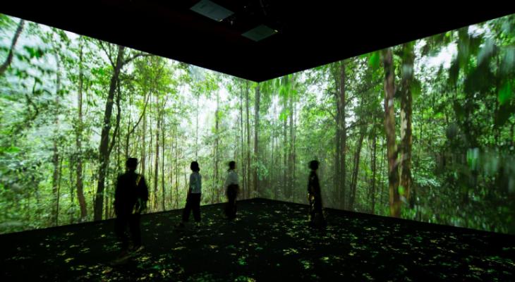 Visitors in front of a large mounted photograph of a lush forest