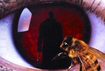 closeup of an eye with the silhouette of Candyman and a bee
