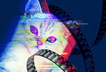 Cat with a filmstrip