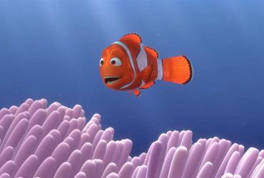 an orange and white striped fish smiling