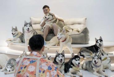 a man sitting on a couch surrounded by husky dogs